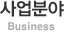 사업분야